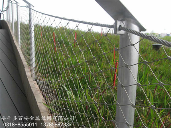 䓽z�K�W(w��ng)_���P��K�W(w��ng)